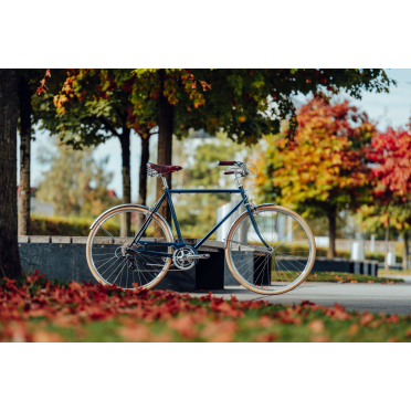 Vélo de ville 8 vitesses Siech Comfort
