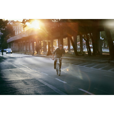 Vélo Fixie / Singlespeed Schindelhauer Siegfried