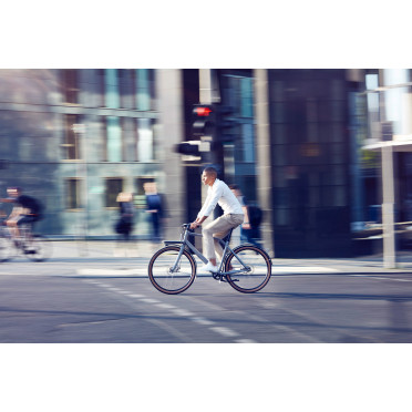Vélo cargo urbain Schindelhauer Gustav
