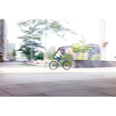 Vélo cargo urbain Schindelhauer Gustav