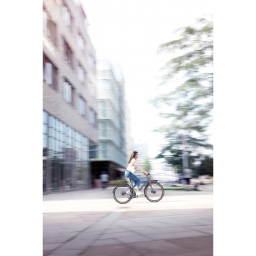 Vélo cargo urbain Schindelhauer Gustav