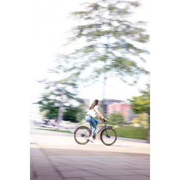 Vélo cargo urbain Schindelhauer Gustav