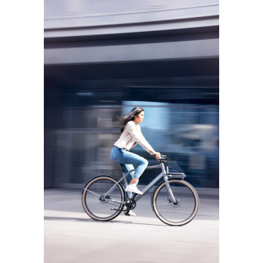 Vélo cargo urbain Schindelhauer Gustav