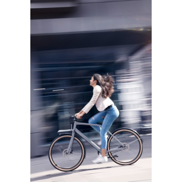 Vélo cargo urbain Schindelhauer Gustav