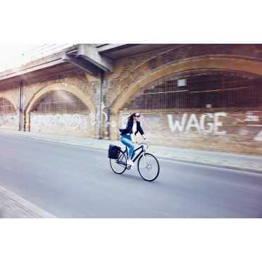 Vélo de ville Schindelhauer Frieda