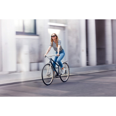 Vélo de ville Schindelhauer Frieda