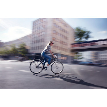 Vélo de ville Schindelhauer Frieda