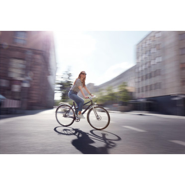 Vélo de ville Schindelhauer Frieda