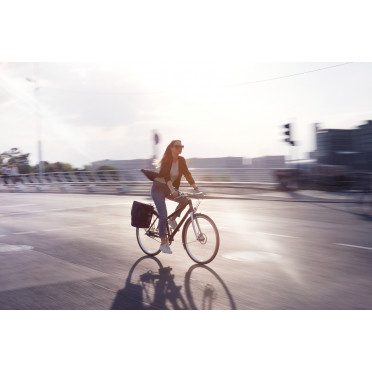 Vélo de ville Schindelhauer Frieda