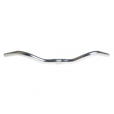 Guidon BLB Bronson