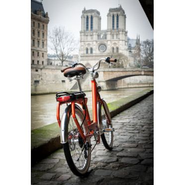 Vélo Électrique Peugeot eLC01 e-LEGEND - Orange