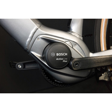 Vélo Urbain Electrique Singlespeed Schindelhauer Heinrich I