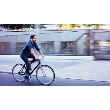 Vélo de ville Schindelhauer Ludwig XI