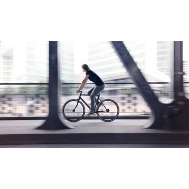 Vélo de ville Schindelhauer Ludwig XI