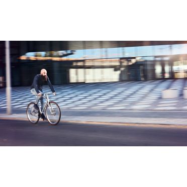 Vélo Schindelhauer Wilhelm Pinion P-line