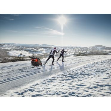 Remorque vélo Thule Chariot Cross - 2020