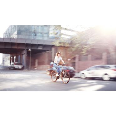 Vélo cargo urbain Schindelhauer Gustav
