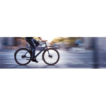 Vélo cargo urbain Schindelhauer Gustav