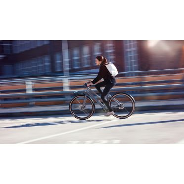Vélo cargo urbain Schindelhauer Greta