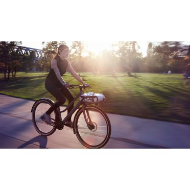 Vélo cargo urbain Schindelhauer Greta
