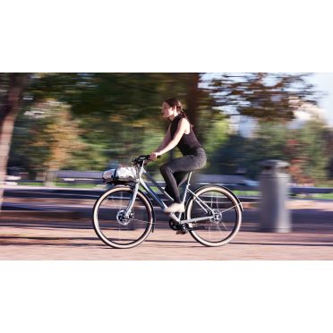 Vélo cargo urbain Schindelhauer Greta