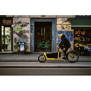 Panneaux latéraux pour vélo cargo Hagen Bikes