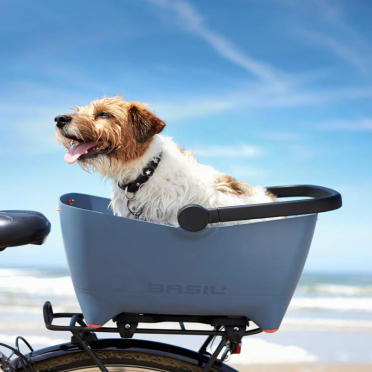Panier vélo arrière pour chien Basil Buddy MIK