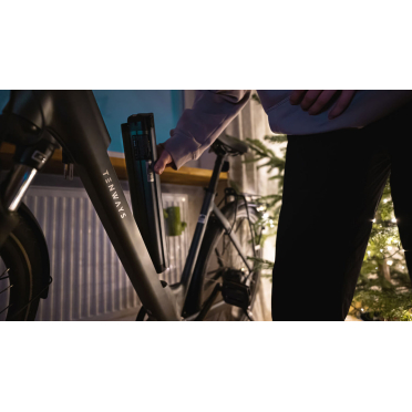 Vélo de ville électrique TENWAYS CGO800S