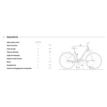 Vélo de ville électrique TENWAYS CGO800S