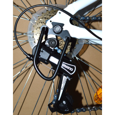 Protège dérailleur PNA fixation moyeu