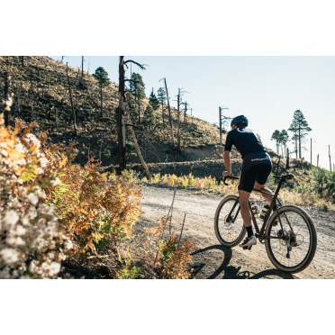 Vélo gravel State Bicycle 6061 Black Label All-Road