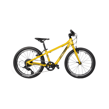 Vélo enfant 20 pouces Bemoov M20