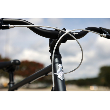 Vélo urbain singlespeed Fairdale Express