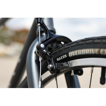 Vélo urbain singlespeed Fairdale Express