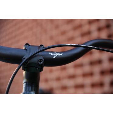Vélo urbain 8 vitesses Fairdale Lookfar