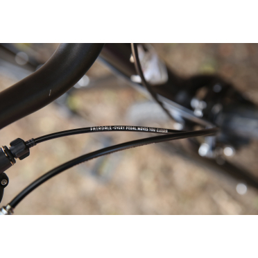 Vélo urbain 8 vitesses Fairdale Lookfar