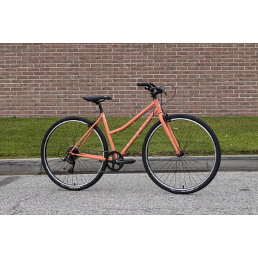 Vélo urbain 8 vitesses Fairdale Lookfar Step-Thru