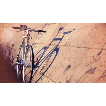 Vélo Fixie / Singlespeed Schindelhauer Siegfried