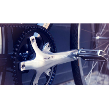 Vélo de ville SCHINDELHAUER LUDWIG