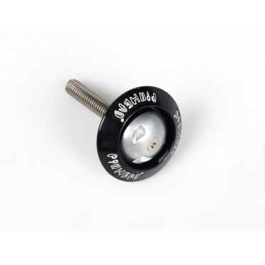 Antivol Fourche/Potence PINHEAD