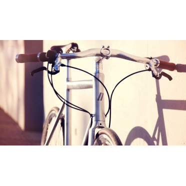 Vélo de ville Schindelhauer Wilhelm XIV