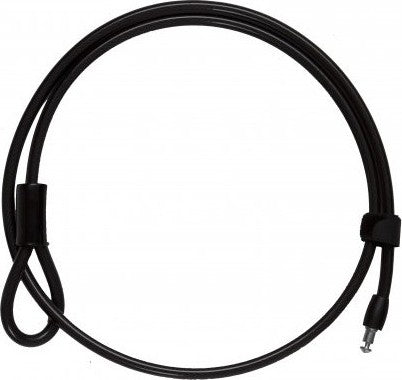 Câble Plug Auvray 1 m