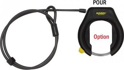 Câble Plug Auvray 1 m