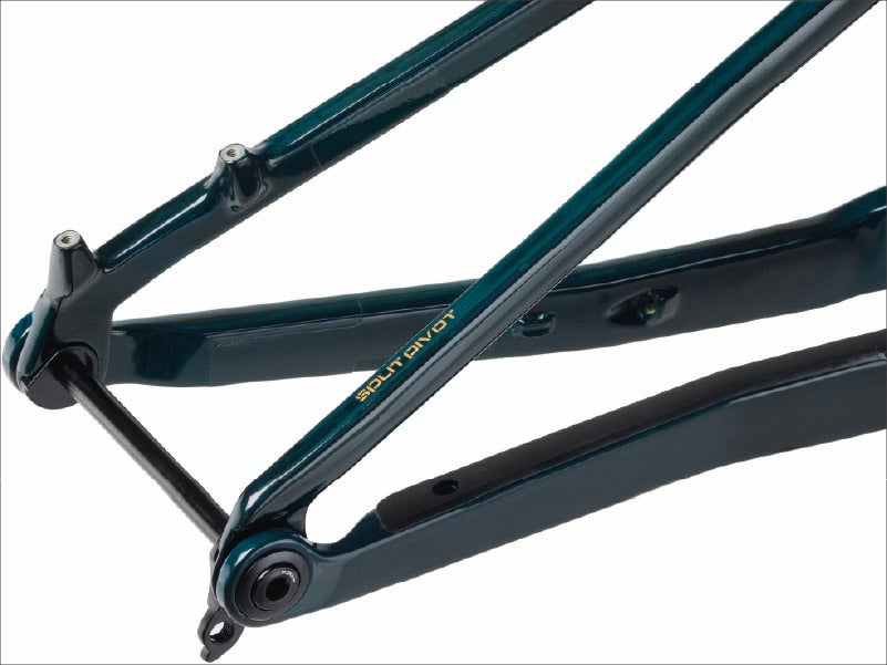 Cadre VTT en carbone Salsa Spearfish