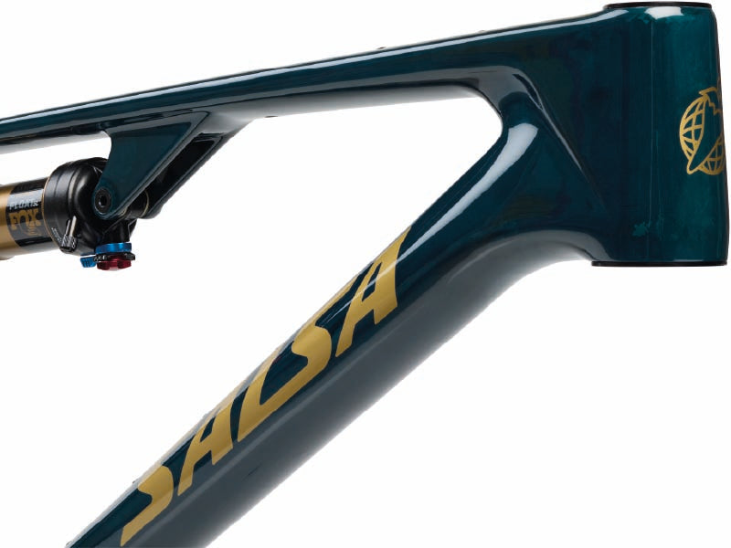 Cadre VTT en carbone Salsa Spearfish