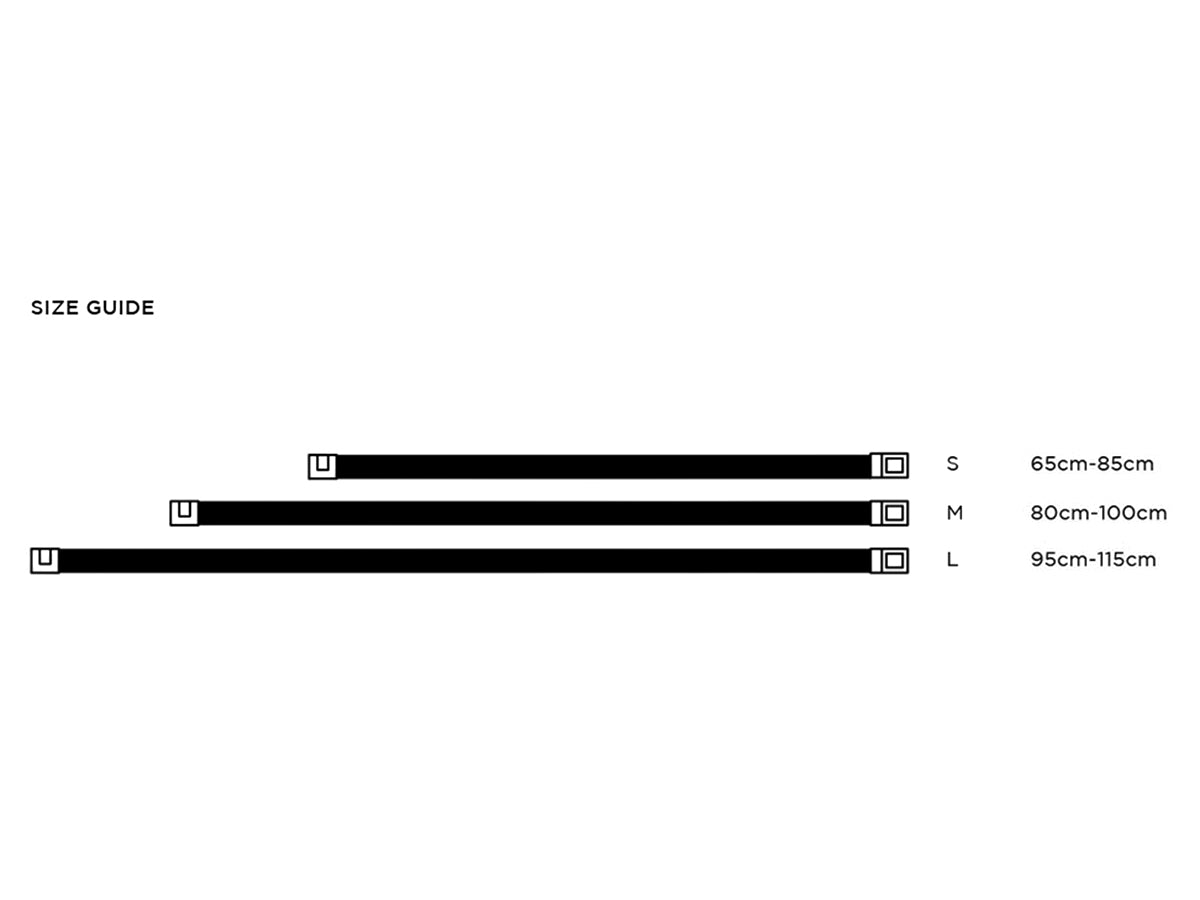 Ceinture Magnétique Restrap