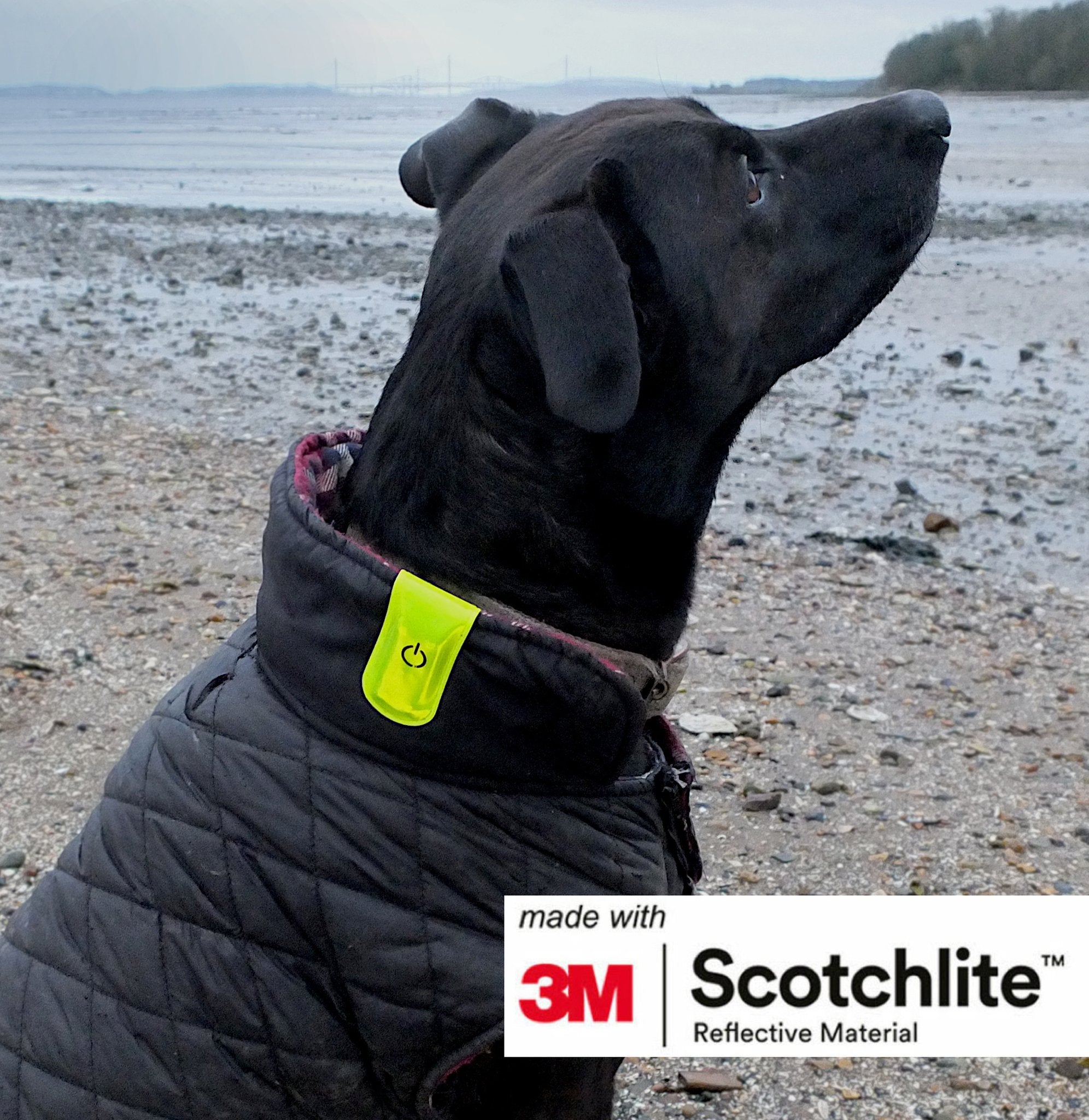 Pinza magnética Salzmann 4 LED