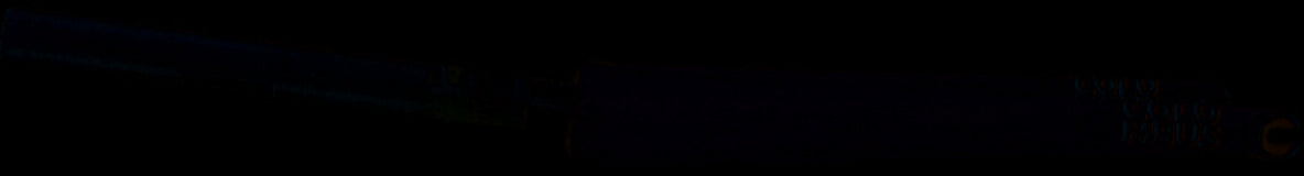 Fourche Columbus Futura Caliper SL