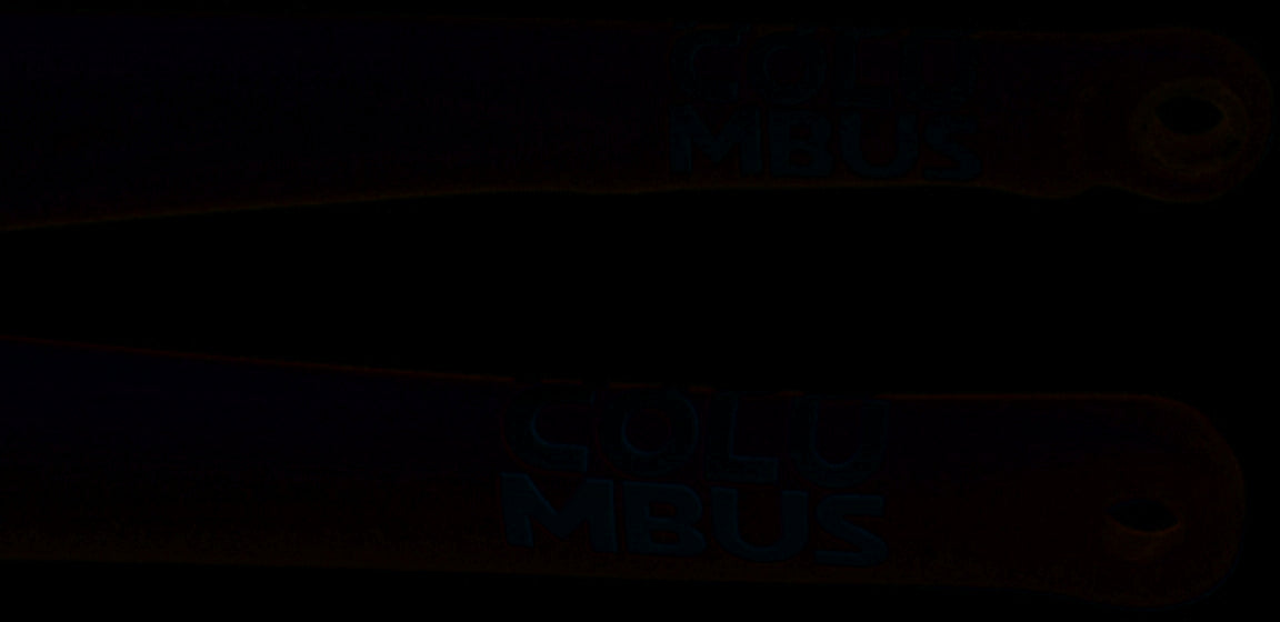 Fourche Columbus Futura Disc