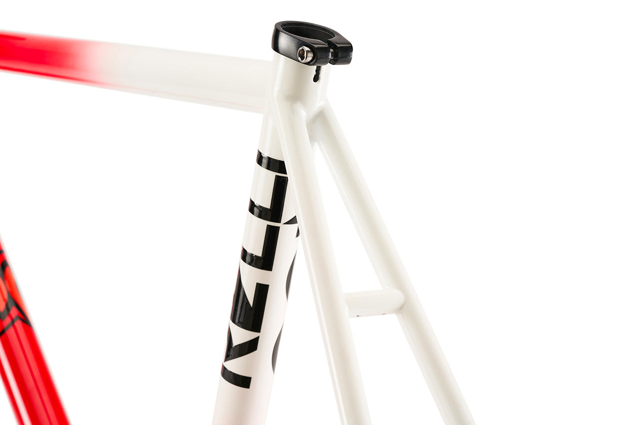 パーツ CINELLI VIGORELLI STEEL CINELLI Vigorelli Road Frameset Special Edition (Disc Brake